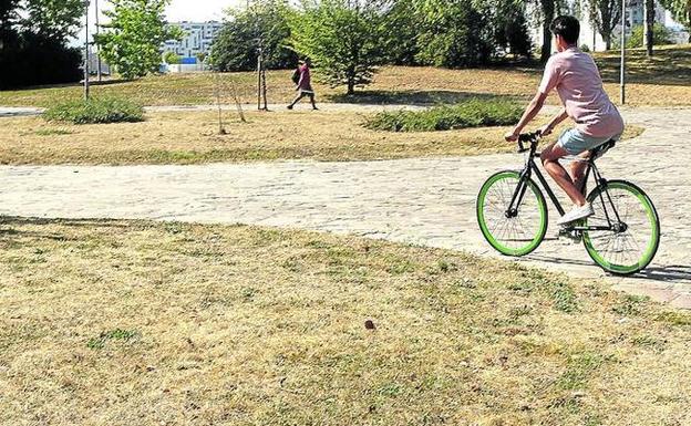 Un ciclista circula por el parque de Ariznabarra a finales de agosto rodeado de zonas verdes amarilleadas.