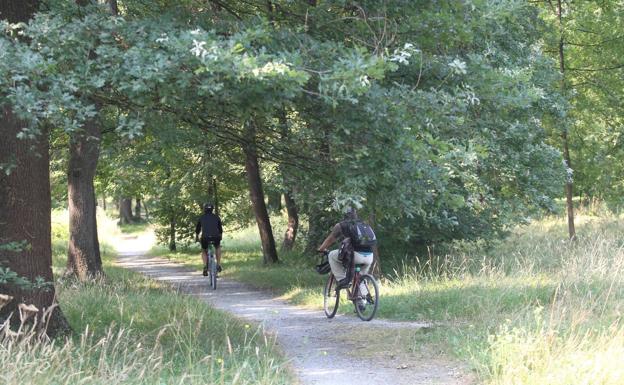 Dos ciclistas, en el bosque mediterráneo de Olárizu.