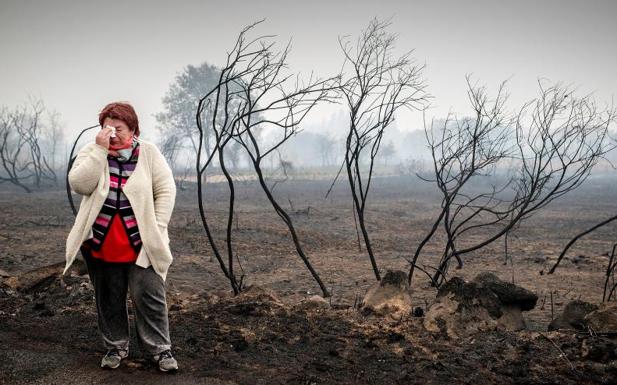 Una mujer llora ante el paisaje calcinado por el fuego, en la zona de Abelenda das Penas.