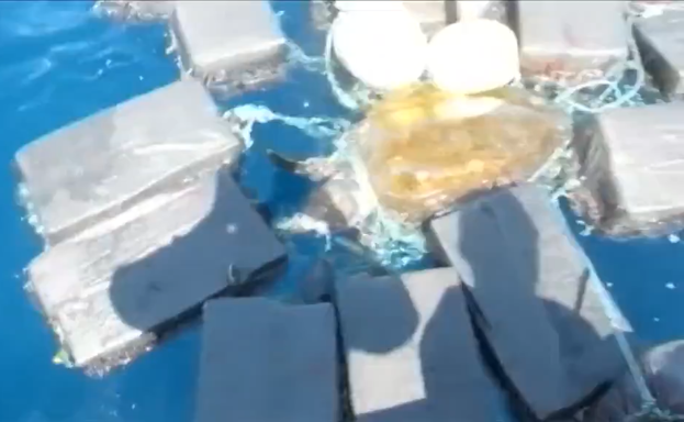 La tortuga, atrapada entre los fardos. /Atlas
