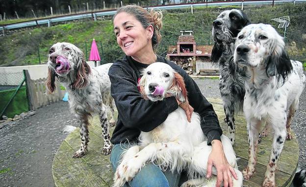 Además de a su cuidadora, María Gutiérrez, el pequeño setter ha encontrado a una treintena de compañeros./Jordi Alemany