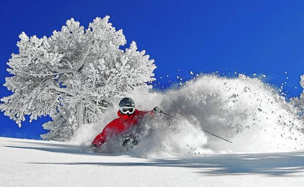 Un freerider pasa junto a un árbol helado en Baqueira Beret./Javi Montes