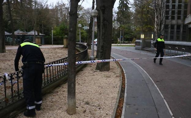 Vitoria volverá a cerrar algunos parques y jardines ante las fuertes rachas de viento previstas para la madrugada de Año Nuevo./Jesús Andrade
