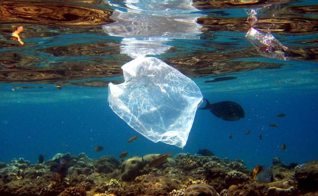Una bolsa de plástico en el Mar Rojo. /Mike Nelson (Efe)