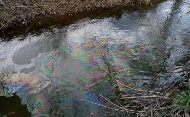 El vertido en el arroyo Errekabarri a su paso por Salburua. /Oscar Fernández