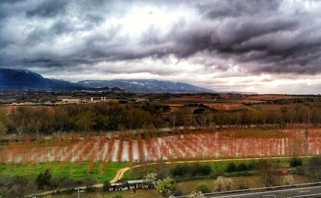 Vista general del soto, inundado por el caudal del Ebro. / JOSÉ GALLO