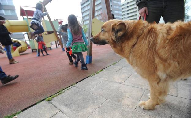 En Mariturri reclaman mayor presencia policial para vigilar que los perros lleven las medidas de seguridad exigidas./Igor Aizpuru