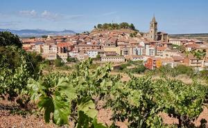 Los viñedos rodean el casco urbano de Navarrete, que asciende hacia el alto de la colina./