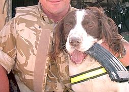 Buster, un perro rastreador en una misión en 2003 al sur de Irak. / Nick Parker (Reuters)/