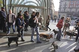 El Colectivo Antitaurino y Animalista de Bizkaia se concentró ayer con varios perros. / Luis Ángel Gómez/
