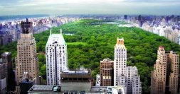 Nueva York 'respira' gracias a la gran mancha verde de Central Park, en el corazón de la ciudad. / AP/
