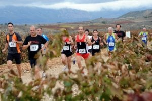 Los corredores pudieron disfrutar del paisaje de viñedos. / MIGUEL HERREROS/