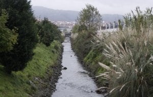 El riachuelo que atraviesa el humedal de Astrabudua. / MIREYA LÓPEZ/