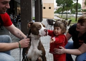 La pequeña Izaro abraza a 'Duque' junto a sus padres Fran y Verónica, en Muskiz. ::
MITXEL ATRIO/