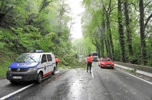 Los fuertes vientos suelen provocar la caída de árboles en la red viaria vasca. En la imagen, problemas en la N-I entre Andoain y Lasarte. :: J. I. U./
