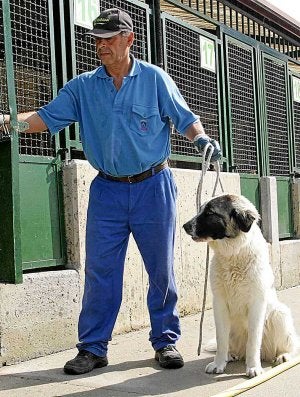 Un operario del centro de Armentia con un bonito perro. /B. Castillo/