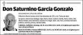 GARCIA GONZALO,SATURNINO