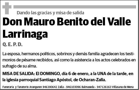 DEL VALLE LARRINAGA,MAURO BENITO