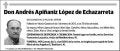 APIÑANIZ LOPEZ DE ECHAZARRETA,ANDRES