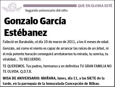 GARCIA ESTEBANEZ,GONZALO