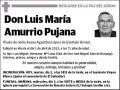 AMURRIO PUJANA,LUIS MARIA