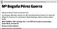 PEREZ GUERRA,Mª BEGOÑA