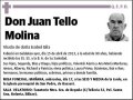 TELLO MOLINA,JUAN