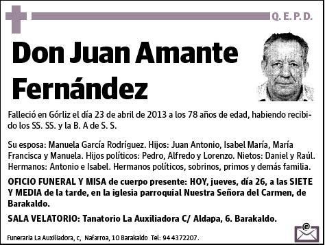 AMANTE FERNANDEZ,JUAN