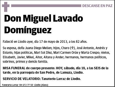LAVADO DOMINGUEZ,MIGUEL