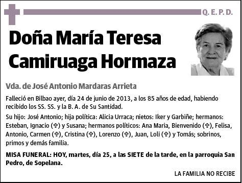 CAMIRUAGA HORMAZA,MARIA TERESA