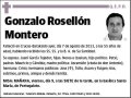 ROSELLON MONTERO,GONZALO