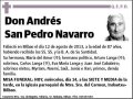 SAN PEDRO NAVARRO,ANDRES