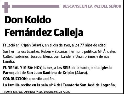 FERNANDEZ CALLEJA,KOLDO