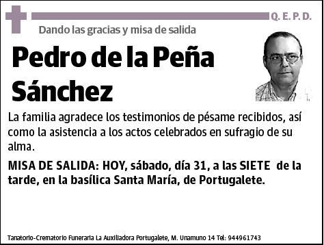 DE LA PEÑA SANCHEZ,PEDRO