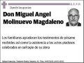 MOLINUEVO MAGDALENO,MIGUEL ANGEL