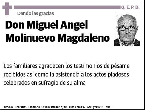 MOLINUEVO MAGDALENO,MIGUEL ANGEL