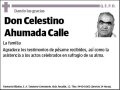 AHUMADA CALLE,CELESTINO
