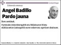 BADILLO PARDO,ANGEL