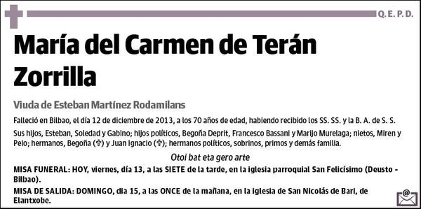 DE TERAN ZORRILLA,MARIA DEL CARMEN