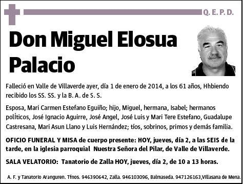 ELOSUA PALACIO,MIGUEL