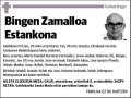 ZAMALLOA ESTANKONA,BINGEN