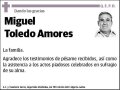 TOLEDO AMORES,MIGUEL