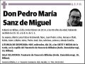 SANZ DE MIGUEL,PEDRO MARIA