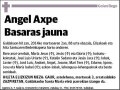 AXPE BASARAS,ANGEL