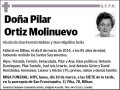 ORTIZ MOLINUEVO,PILAR