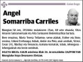 SOMARRIBA CARRILES,ANGEL