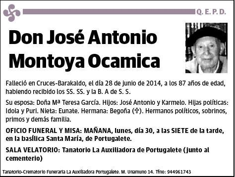 MONTOYA OCAMICA,JOSE ANTONIO