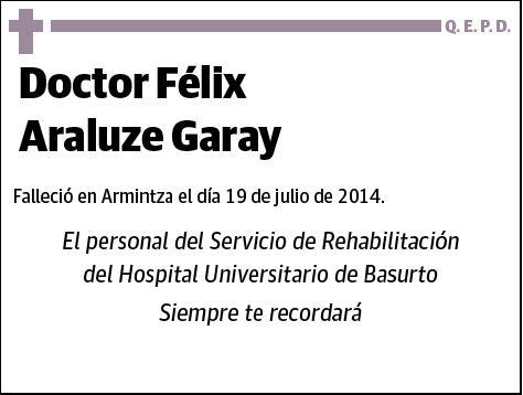 ARALUZE GARAY,FELIX