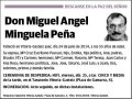 MINGUELA PEÑA,MIGUEL ANGEL
