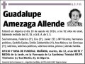AMEZAGA ALLENDE,GUADALUPE
